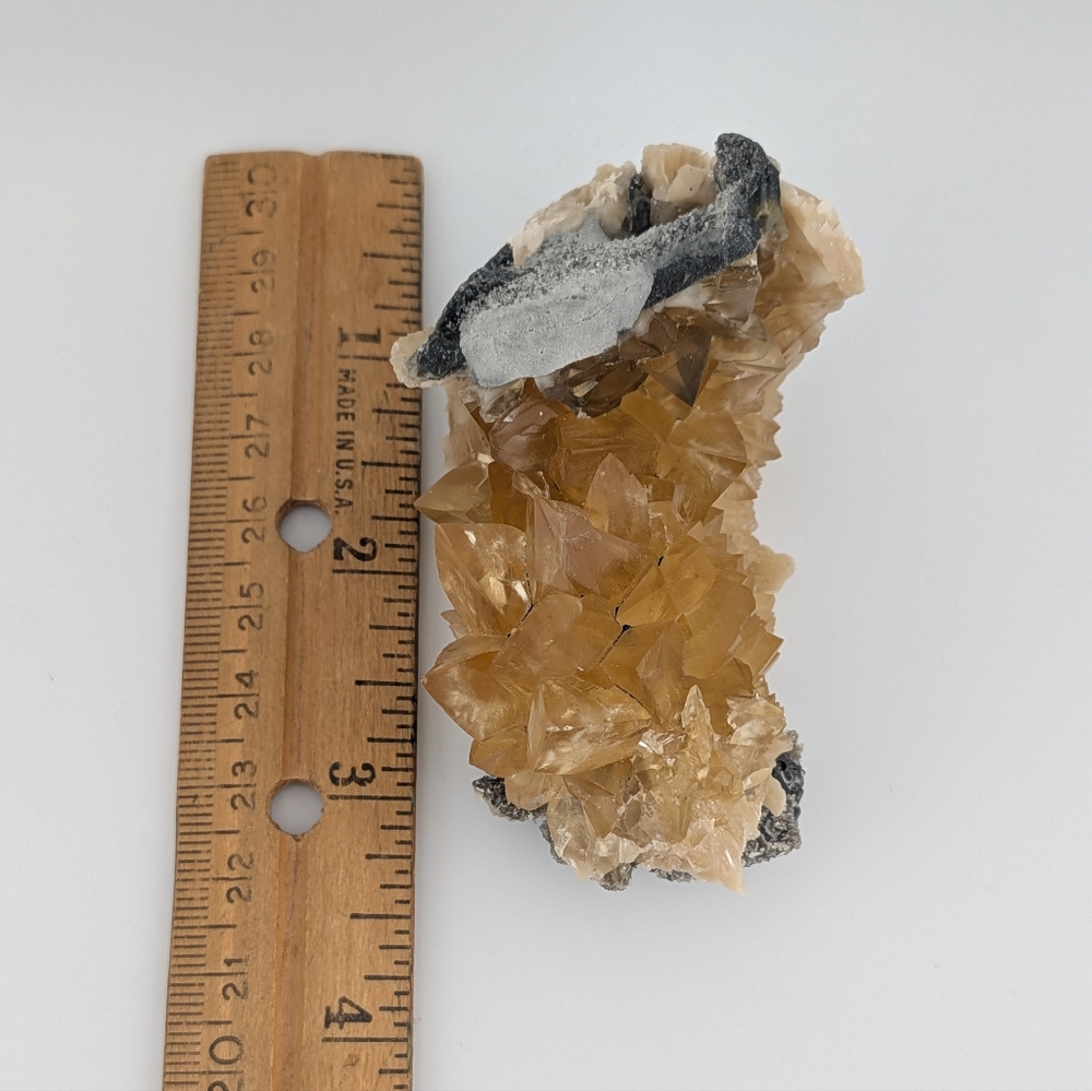 Fossil Clam Calcite Crystal Specimen - Picture 4 of 4